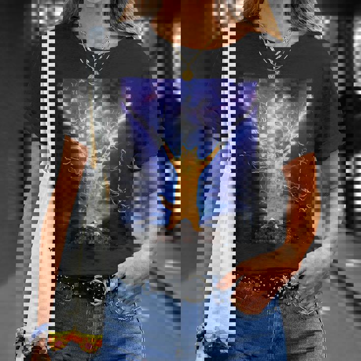 Cat Merch おかしな猫 稲妻 サンダーボルト オン マウンテン Tシャツ 彼女への贈り物