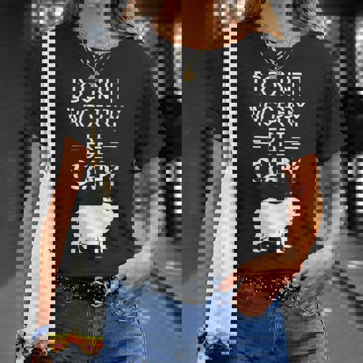 Don't Worry Be Capy カピバラ 心配しないで カピー カピバラ齧歯類愛好家 Tシャツ 彼女への贈り物