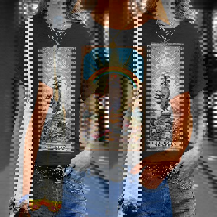 The Emperor 面白いアライグマ タロットカード ミスティックアライグマ Tシャツ 彼女への贈り物