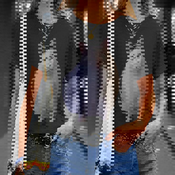 Meme Huh Catミームハァキャット面白い Tシャツ 彼女への贈り物