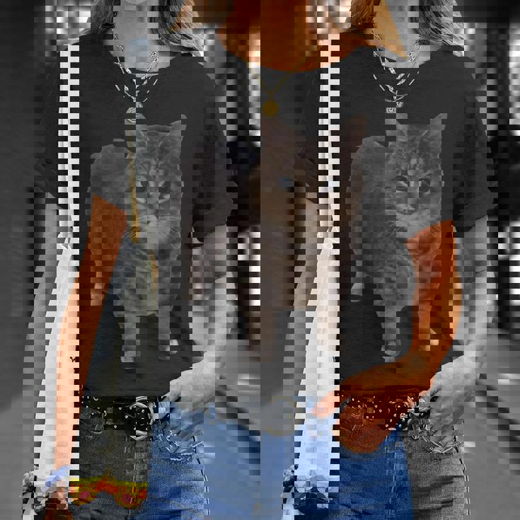 Oiia Oiia 猫 面白い 回転する猫 ミーム Tシャツ 彼女への贈り物