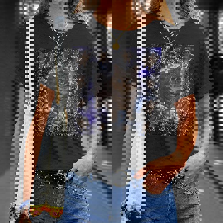 Oiiaa Oiiaa Cat Brainrotiralpining Cat Meme Tシャツ 彼女への贈り物