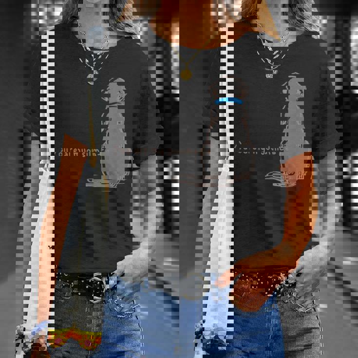 Soulmate ソウルメイト 犬 ワンちゃん わんこ ラブラドールレトリバー 運命 親友 メンズ レディース Tシャツ 彼女への贈り物