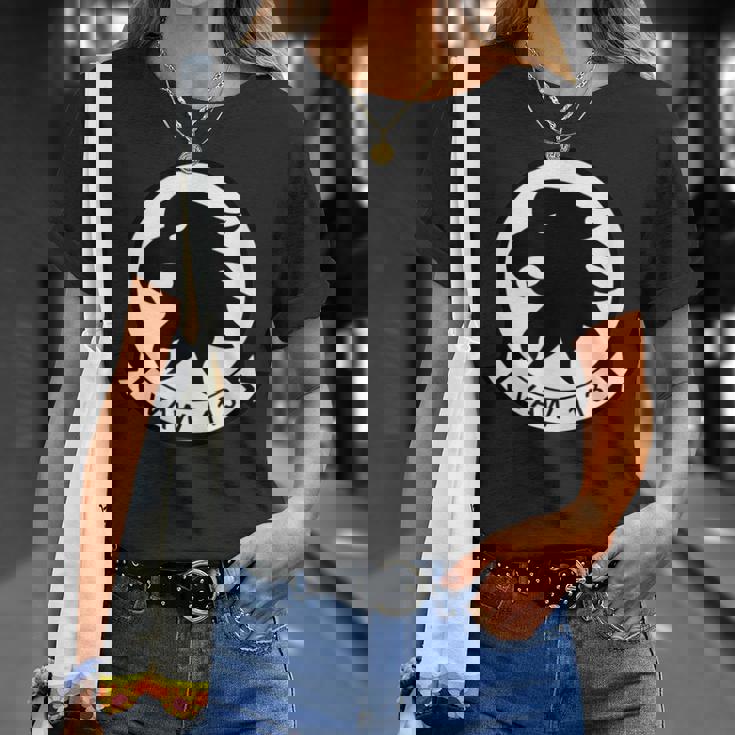 Vaw-113 空挺コマンド&コントロール飛行隊 113 ブラックイーグルス Tシャツ 彼女への贈り物