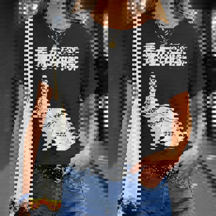 うさぎの撫で方解説 ウサギ好き うさぎ好き うさぎの飼い主 おもしろ うさぎ 兎 Tシャツ 彼女への贈り物