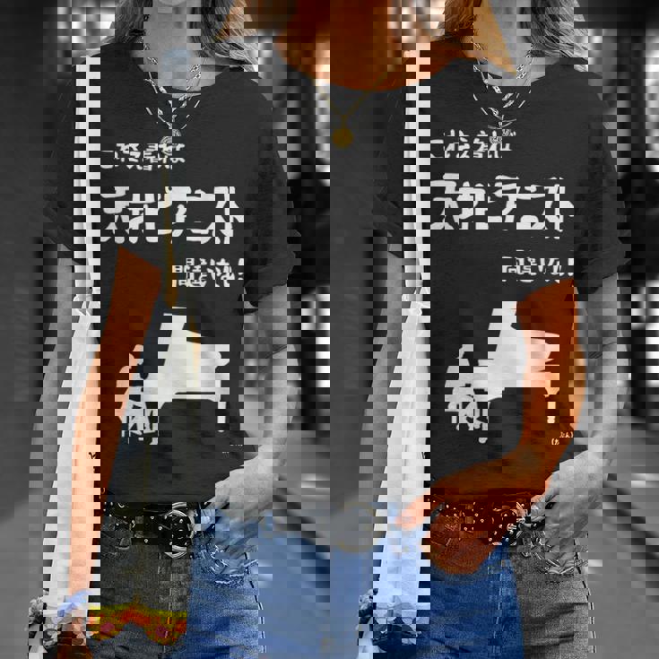 これを着れば天才ピアニスト間違いなし！ ピアノ クラシック音楽 ジャズ音楽 ピアノ好き 願掛け ゲン担ぎ Tシャツ 彼女への贈り物