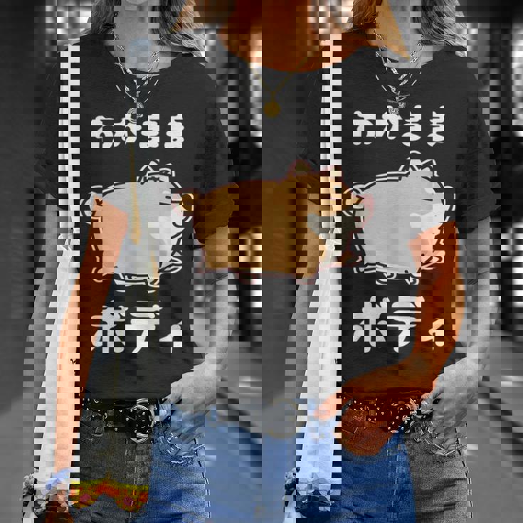 わがままボディ 犬 柴犬 太った柴犬 ぽっちゃり 犬好き かわいい おもしろ 面白い Tシャツ 彼女への贈り物