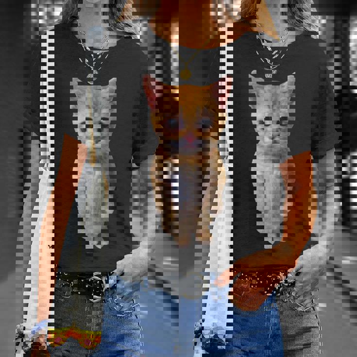 エルガト ミーム 悲しい泣き猫 マンチキン キティ ミーム トレンディ Tシャツ 彼女への贈り物