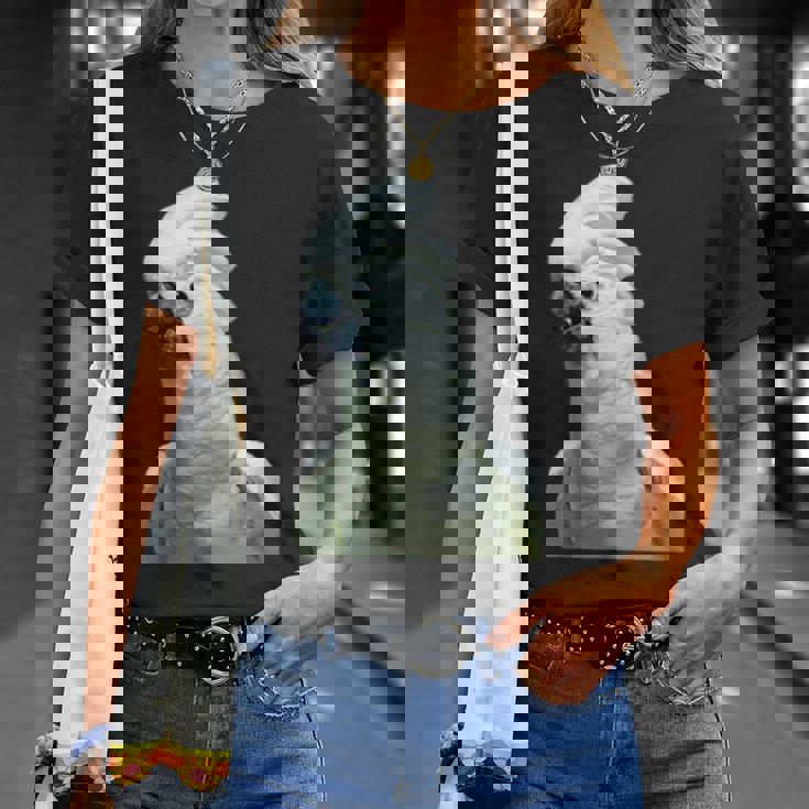 タイハクオウム 鳥 オウム Tシャツ 彼女への贈り物