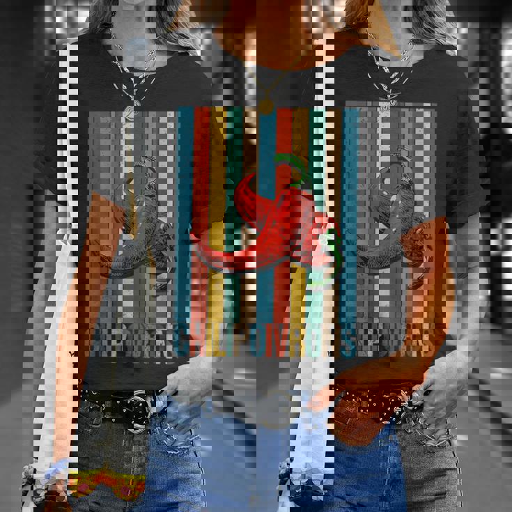 チリペッパー、レッドチリペッパー、レッドホットヴィンテージチリペッパー Tシャツ 彼女への贈り物