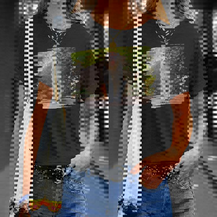 パタス・モンキー Tシャツ 彼女への贈り物