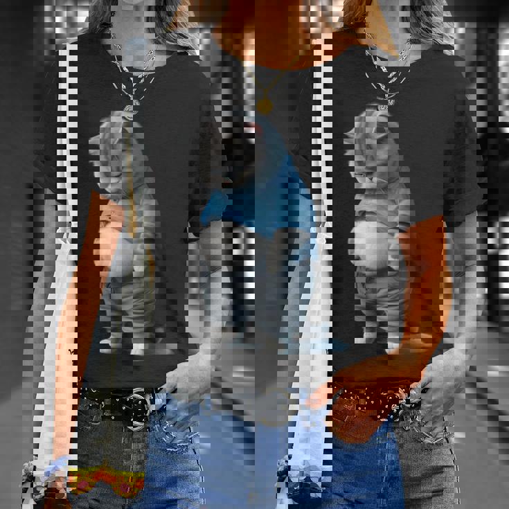 ファニー ファット 悲しい猫 アートデザイン 太った子猫 猫好き Tシャツ 彼女への贈り物