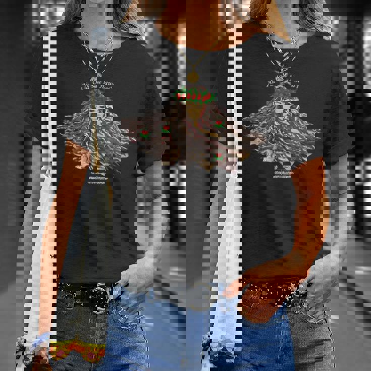 フラダンス ハワイ 火の神 ペレ フラダンサー 長袖tシャツ Tシャツ 彼女への贈り物