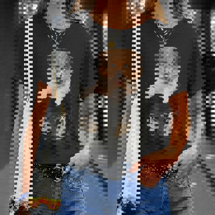 プリントポケットに入ったコリー犬 犬好きに面白い Tシャツ 彼女への贈り物