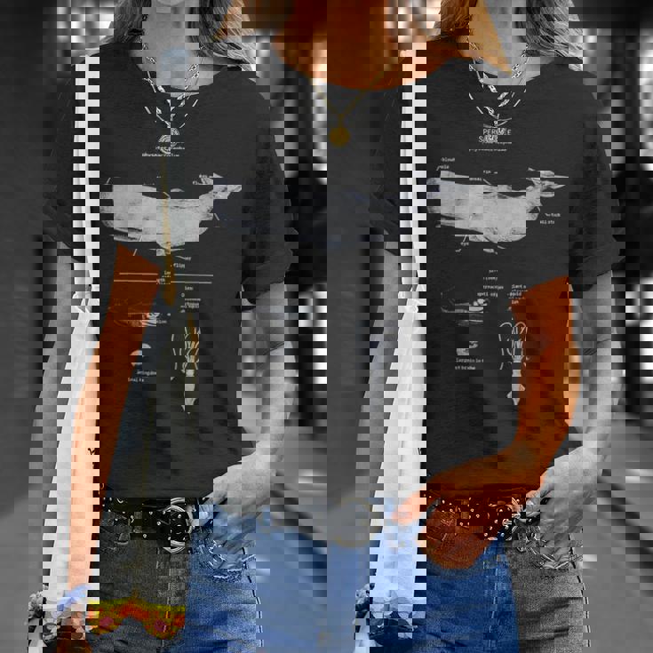 マッコウクジラの解剖学 海洋生物学者 Tシャツ 彼女への贈り物