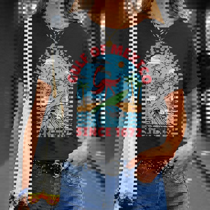 メキシコ湾 フラミンゴ メキシコ湾 1672年以来 Tシャツ 彼女への贈り物