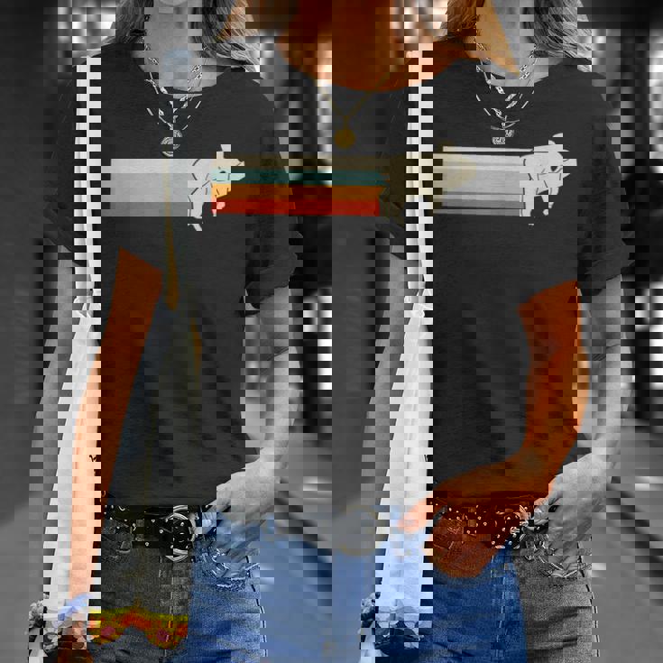 ユーカリイーターコアラとコアラヴィンテージメンズ Tシャツ 彼女への贈り物