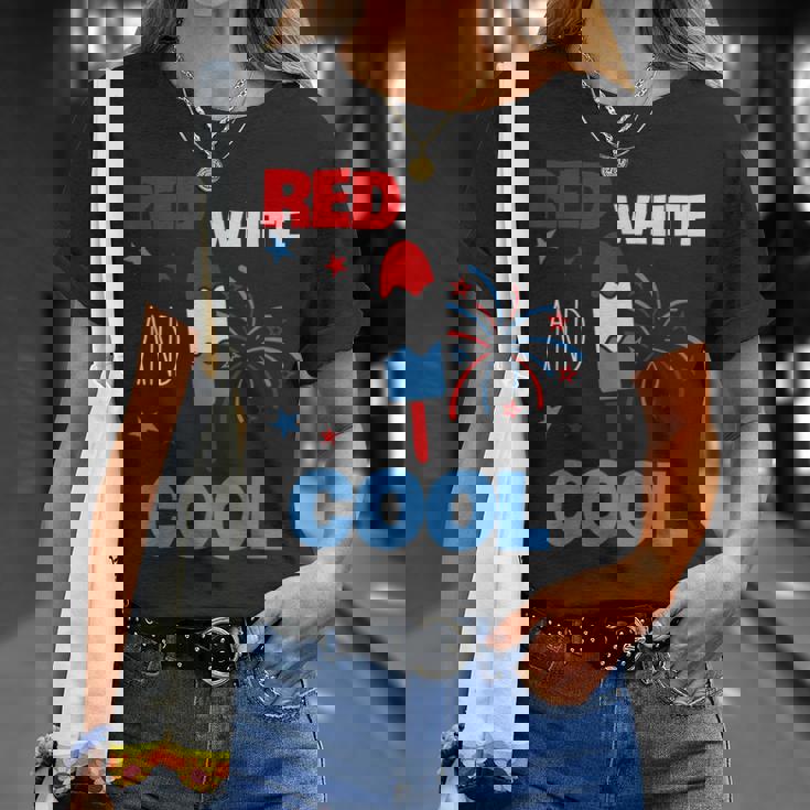 レッド ホワイト クールなアメリカ国旗 アイスキャンディー 面白い 7月4日 Tシャツ 彼女への贈り物