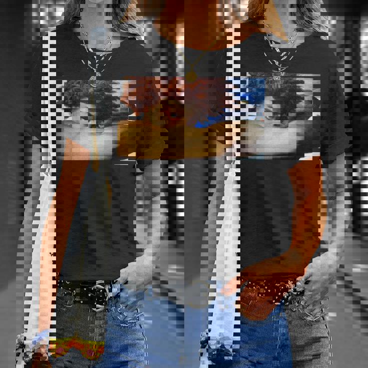 堕天使ルシファー・アレクサンドル・カバネル・ルネサンス ゴシック Tシャツ 彼女への贈り物