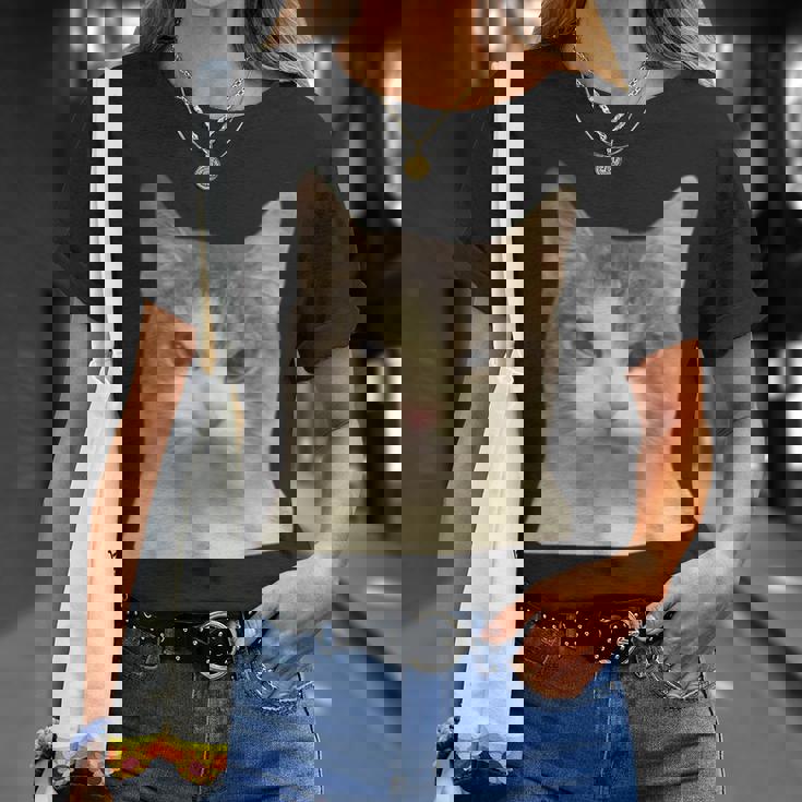 怒っている猫 リアル ミーム ウイルス インターネット Tシャツ 彼女への贈り物