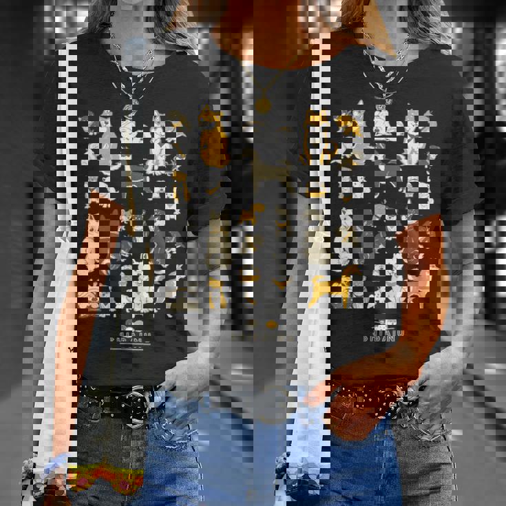 柴犬たくさん 大集合ver かわいい柴犬 柴犬 イラスト Tシャツ 彼女への贈り物