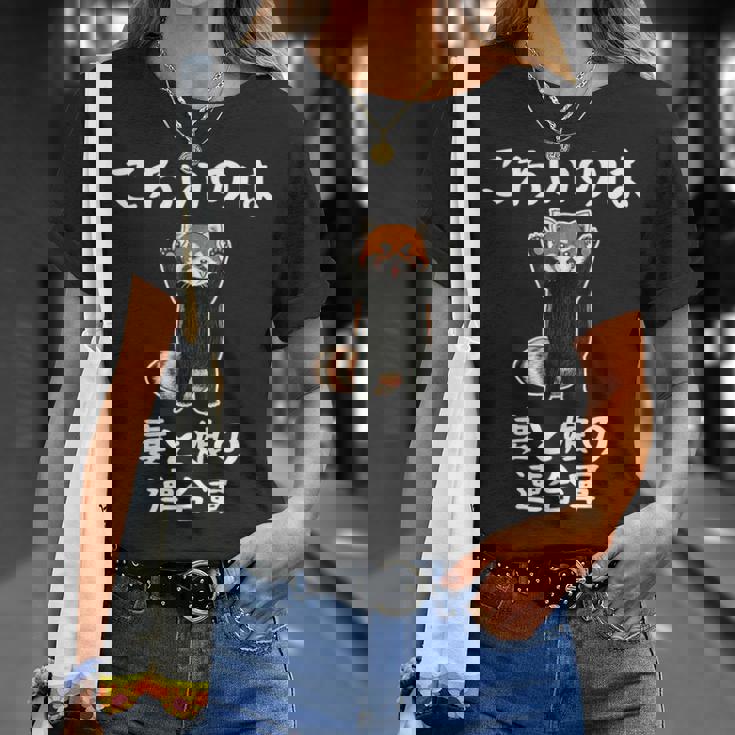 父の日 2025 レッサーパンダ【 こわいのは 妻と娘の 連合軍 】 おもしろ Tシャツ 彼女への贈り物