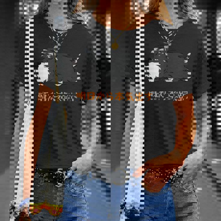 犬 おもしろ 明日から本気出すから 可愛い シュナウザー ミニチュアシュナウザー Tシャツ 彼女への贈り物