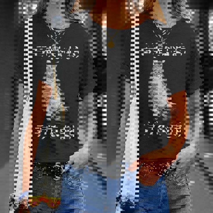 猫 モテるデブ 面白いtシャツ 文字入り メンズ おもしろ 面白い 服 オリジナル おもしろグッズ 文字 Tシャツ 彼女への贈り物