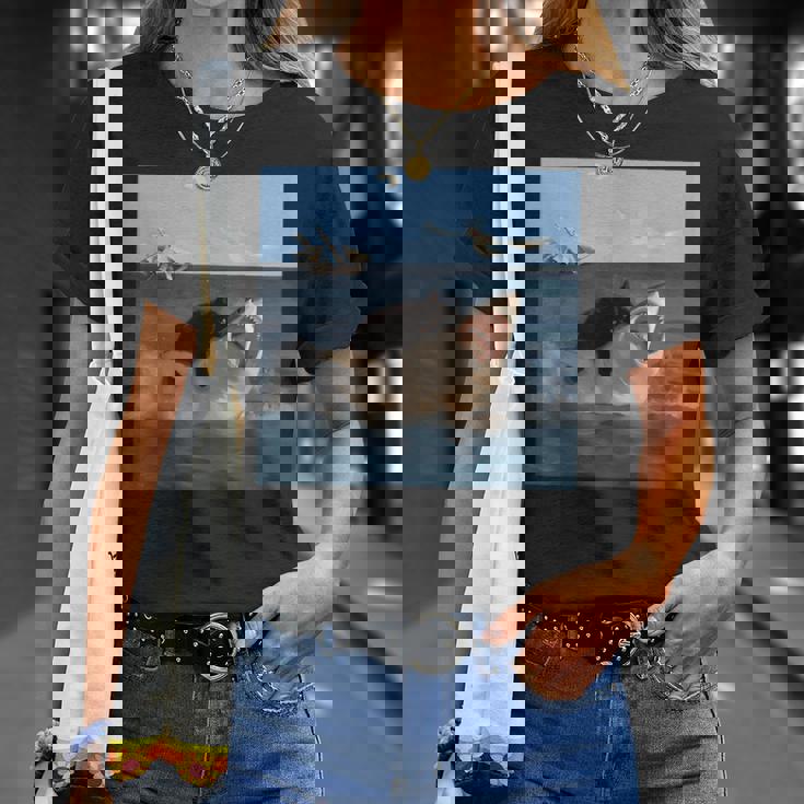 猫を噛むサメの面白いアートと猫好きの面白い猫とサメ。 Tシャツ 彼女への贈り物