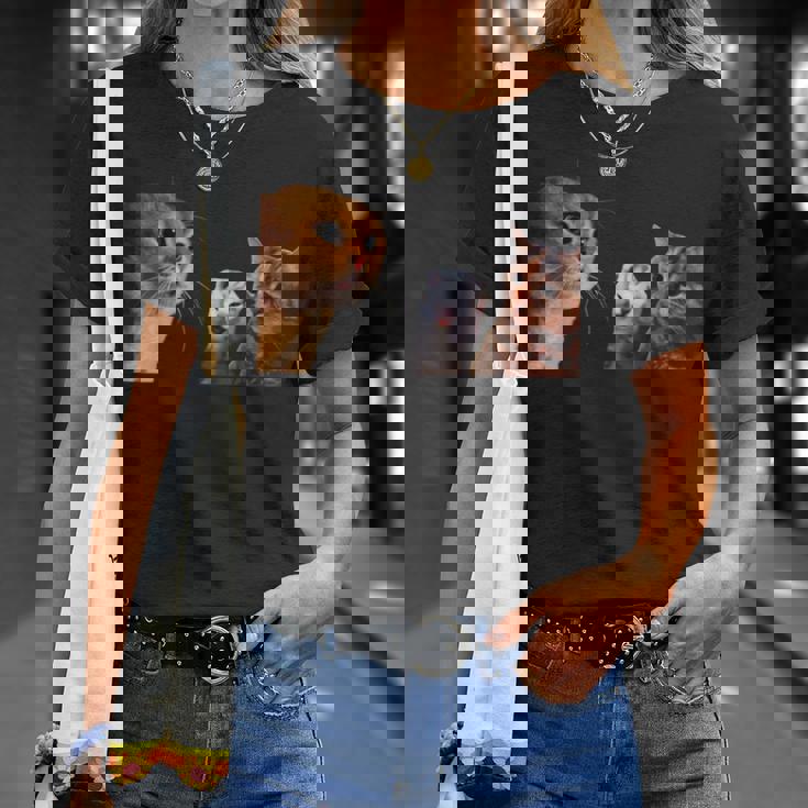 猫ミーム 説教する猫 怒られる猫 泣き叫ぶ猫 説教 怒る かわいい 面白い 人気 楽しい ハッピー Tシャツ 彼女への贈り物