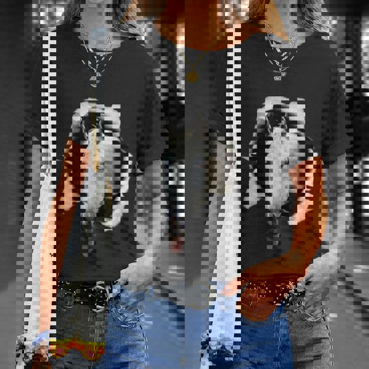 競馬 馬tシャツ ウマ レース 馬 乗馬 競馬 面白いtシャツ メンズ おもしろグッズ ネタ 大人 男性 Tシャツ 彼女への贈り物