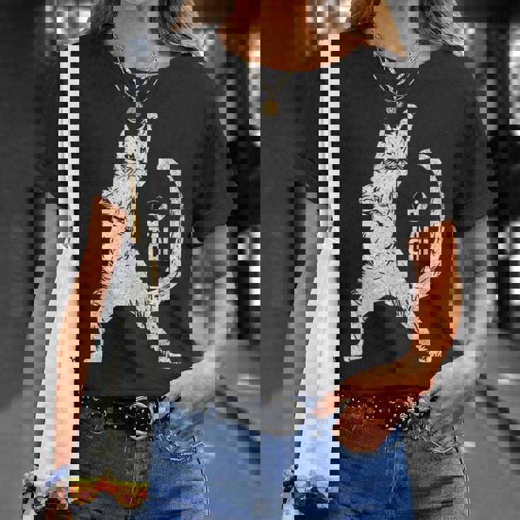 陽気な猫 太極拳ポーズ 格闘技 陰陽バランス Tシャツ 彼女への贈り物