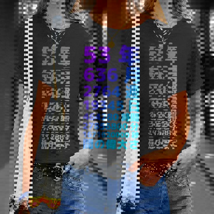 面白い53歳の誕生日の古いメーター 面白い53歳のギフト 女性 男性 面白い電卓 53歳の誕生日のギフト Tシャツ 彼女への贈り物