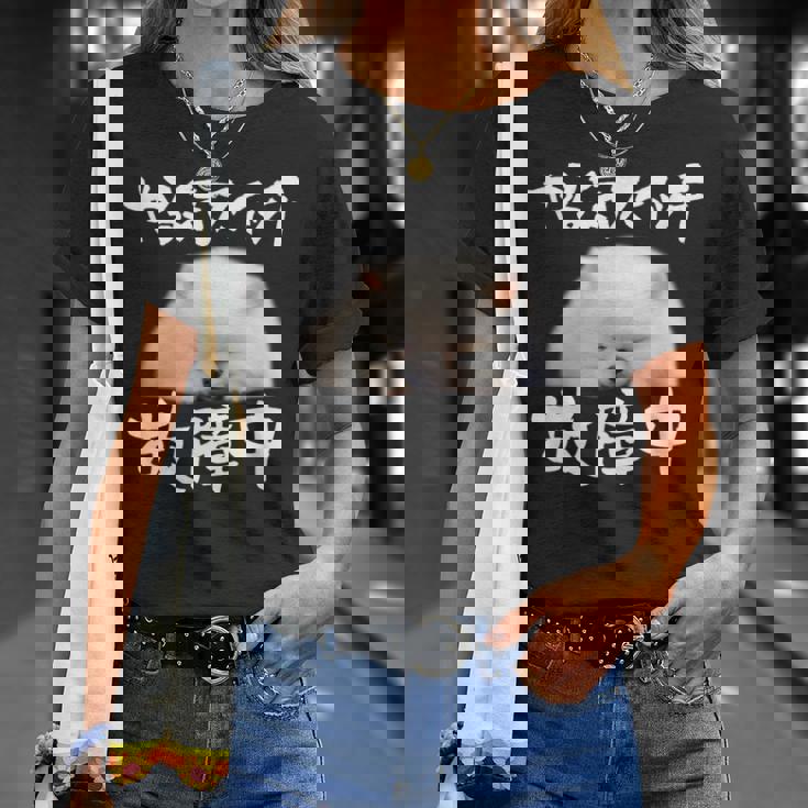 面白いtシャツ ポメラニアン やる気スイッチ イヌ メンズ 犬好き グッズ おもしろ 面白い 服 ネタ Tシャツ 彼女への贈り物