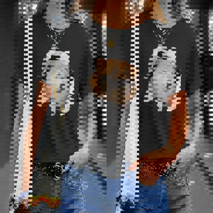 面白いtシャツ 柴犬 シバイヌ 犬 イヌ わんこ メンズ 犬好き グッズ かわいい 面白い 服 ネタ Tシャツ 彼女への贈り物