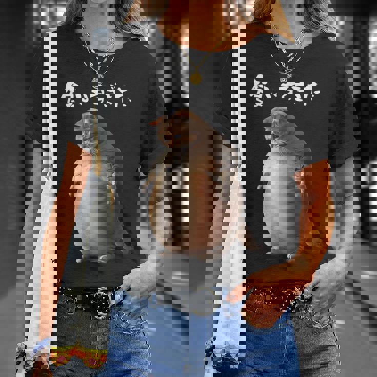 面白いtシャツ 猫 ネコ メンズ 猫好き グッズ おもしろ 面白い 服 ネタ にゃんこ 猫の下僕 ダイエット Tシャツ 彼女への贈り物