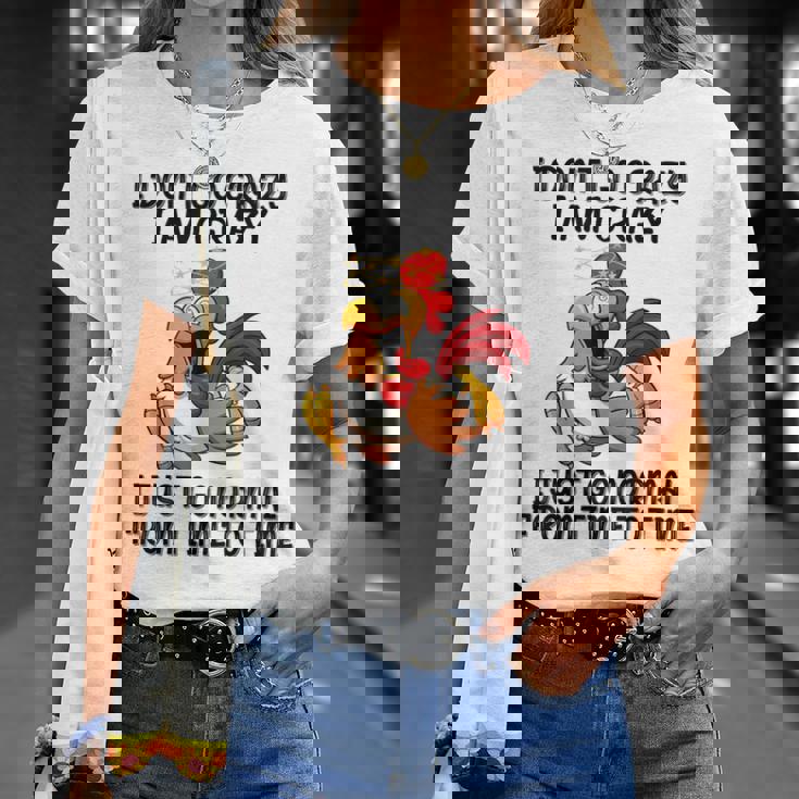 Je Ne Deviens Pas Fou Jeuis Fou Je Deviens Juste Normal T-Shirt Cadeaux pour elle