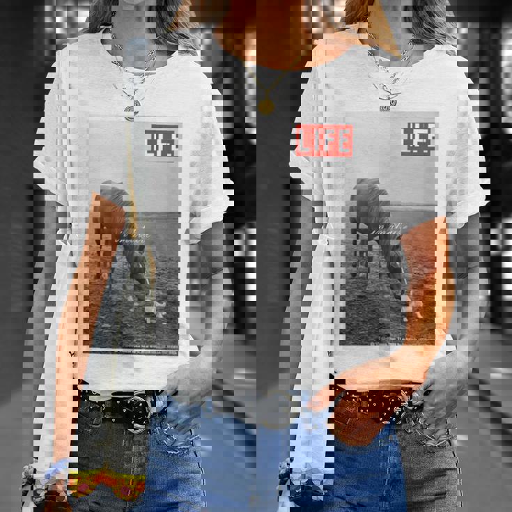 Life Picture Collection 馬と猫（1） Tシャツ 彼女への贈り物