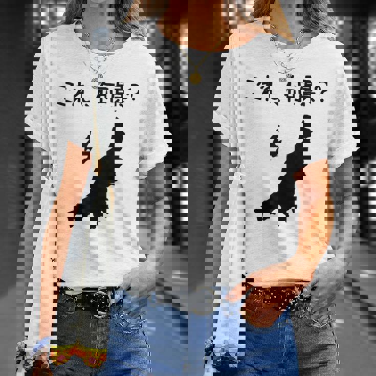 【これ、何県？】新潟県 都道府県 クイズ 小学生 遊び心 パズル 地図 シルエット 地理 先生 おもしろ 面白い ネタ Tシャツ 彼女への贈り物