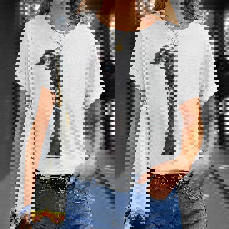 イタリアングレイハウンド 長袖tシャツ Tシャツ 彼女への贈り物