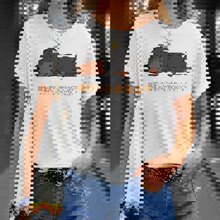 犬 おもしろ 明日から本気出す 可愛い ダックスフンド ミニチュアダックスフンド 長袖tシャツ Tシャツ 彼女への贈り物