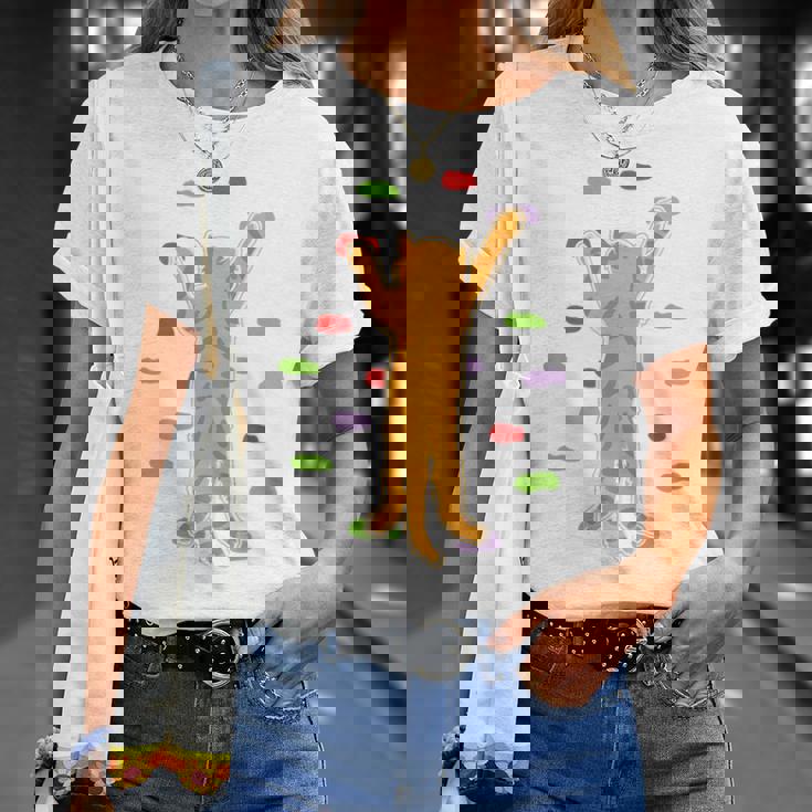 面白くてかわいいボルダーロッククライミングキャット背中にプリント Tシャツ 彼女への贈り物