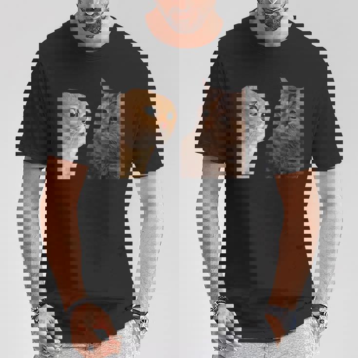 2匹の猫がミームを話す Tシャツ 面白い贈り物