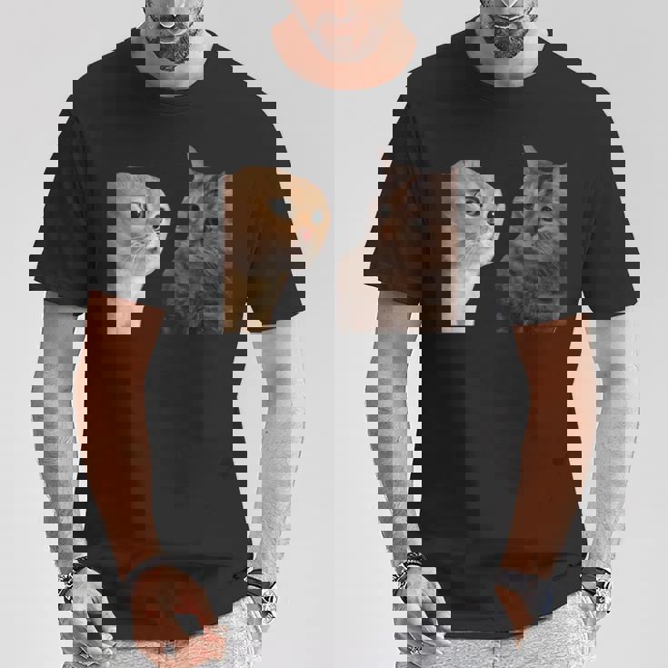 2匹の猫がミームを話す 長袖tシャツ Tシャツ 面白い贈り物