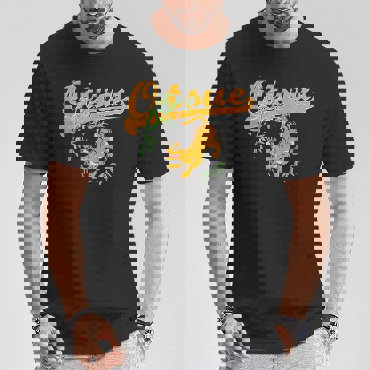 Bamboo And Tiger Of Otsu-E 大津絵 竹に虎バンブー タイガー Tシャツ 面白い贈り物