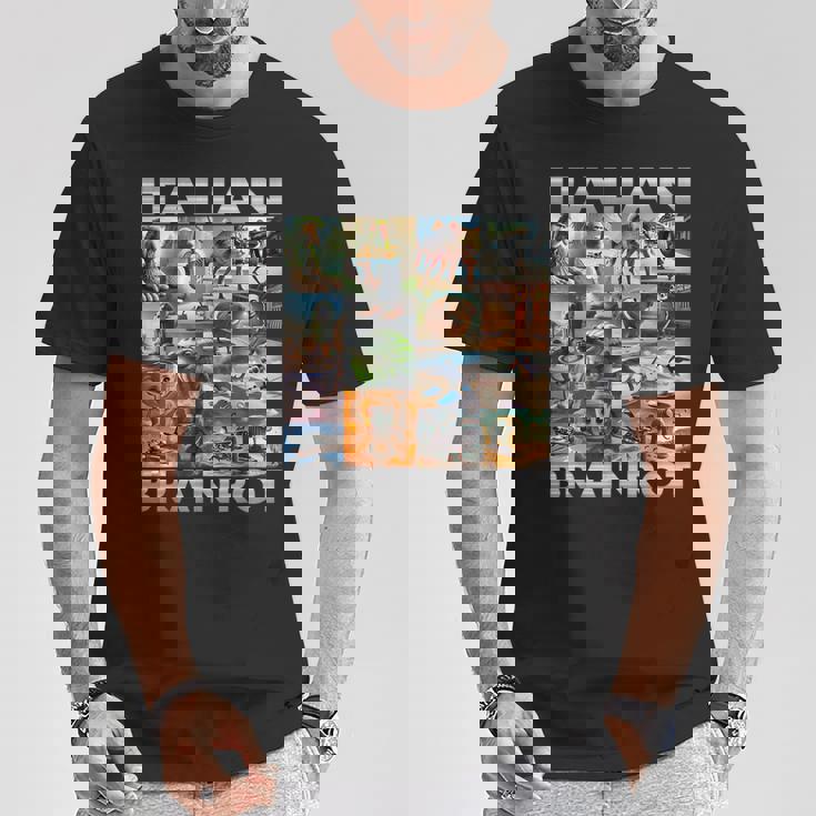 Brainrot Meme イタリアンブレイン 腐敗 イタリアンブレイン Tシャツ 面白い贈り物