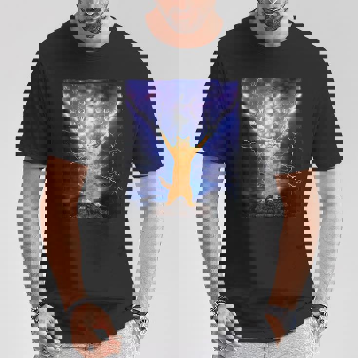 Cat Merch おかしな猫 稲妻 サンダーボルト オン マウンテン Tシャツ 面白い贈り物