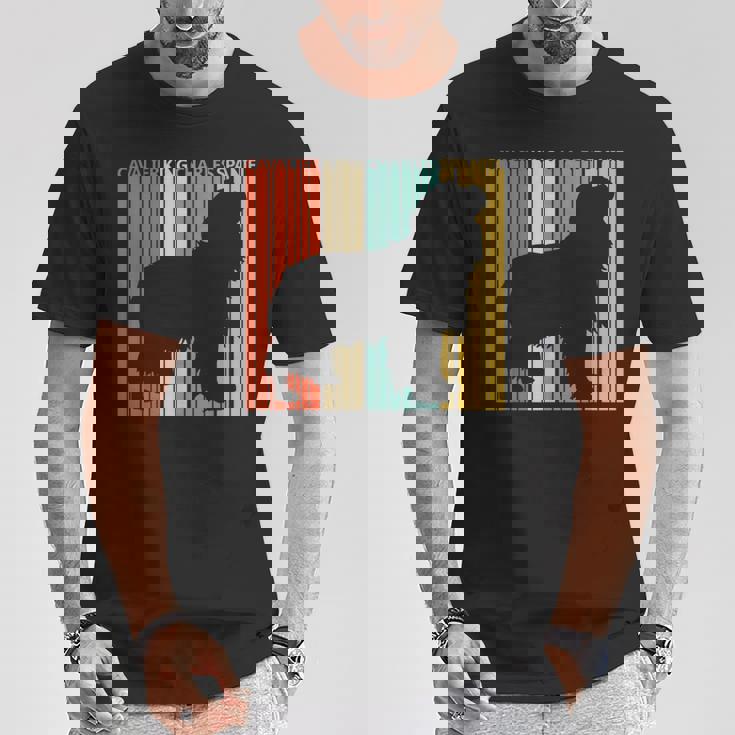 Cavalier King Charlespaniel キャバリア・キング・チャールズ・スパニエル Tシャツ 面白い贈り物