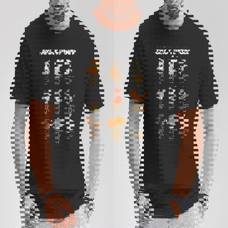 Cool Foxes Of The Worldかわいいキツネ動物愛好家ギフト Tシャツ 面白い贈り物