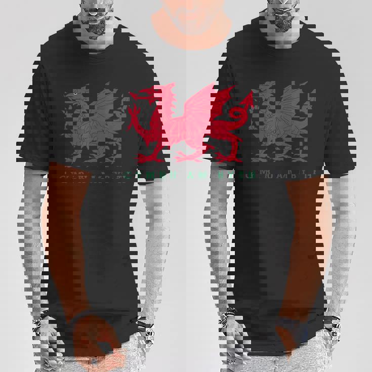 Cymru Am Byth ウェールズ ラグビー ドラゴンウェールズ プレイヤープライドギフト Tシャツ 面白い贈り物